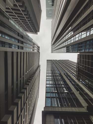 office building close-up photography of high-rise buildings city